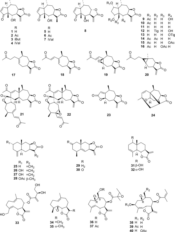 FIG 1