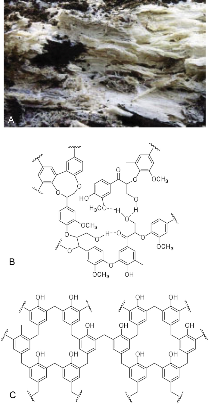 Fig. 6