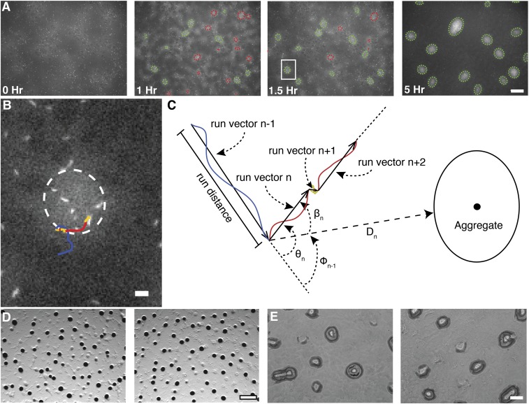 Fig. S1.