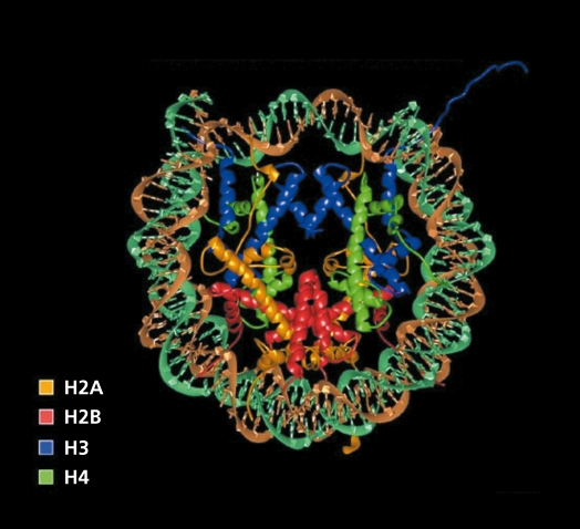 Figure 3.