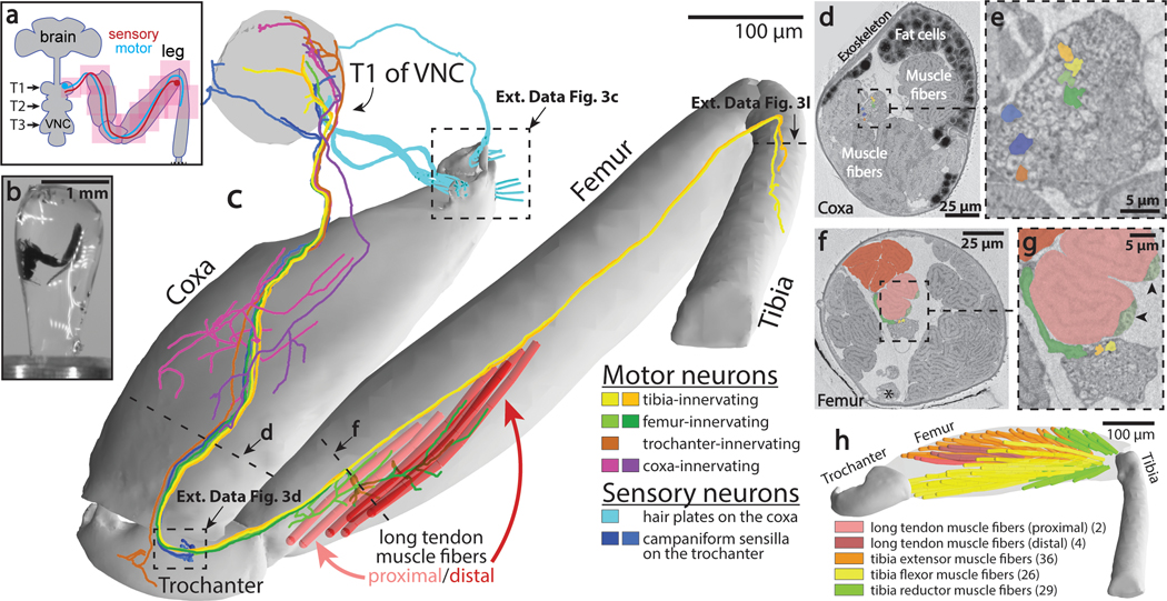 Figure 3: