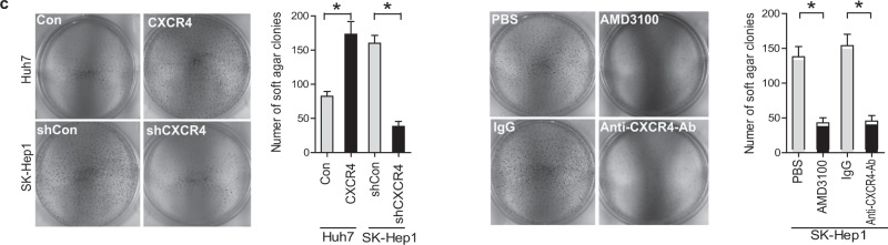 graphic file with name 41467_2021_26555_Fig1_HTML.jpg