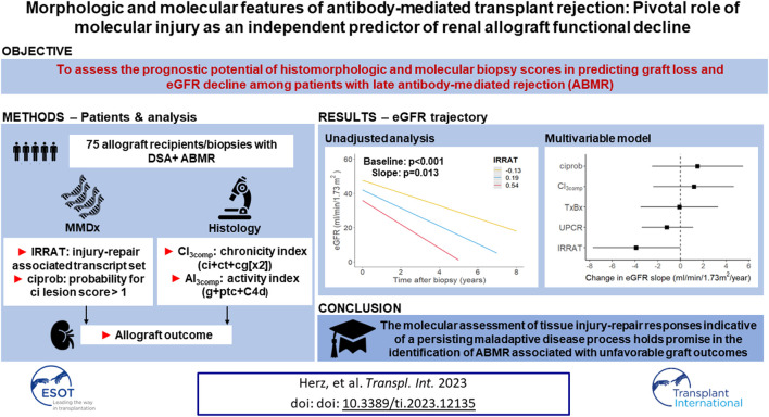 graphic file with name TI_ti-2023-12135_wc_abs.jpg
