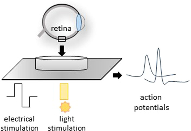 Image, graphical abstract