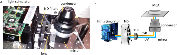 Fig 3