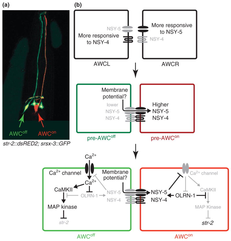 Fig. 3