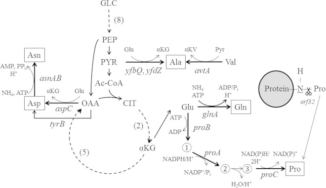 FIG 1