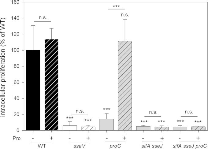 FIG 6