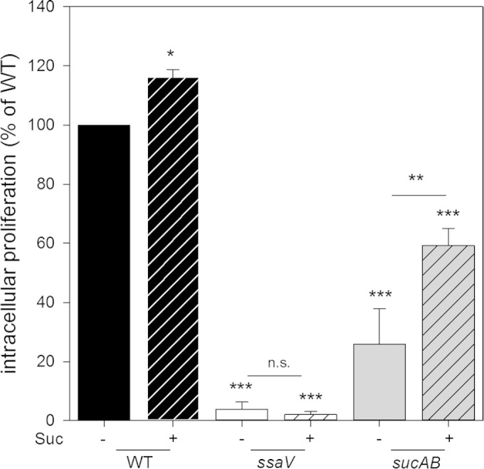 FIG 5