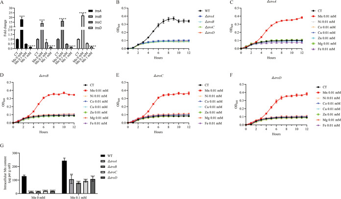 FIG 3