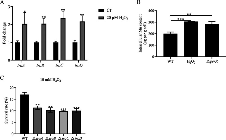 FIG 4