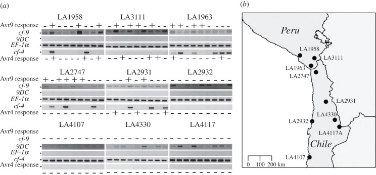 Figure 4.