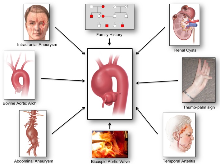 Figure 6