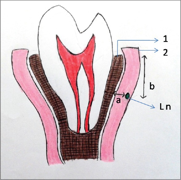 Figure 8