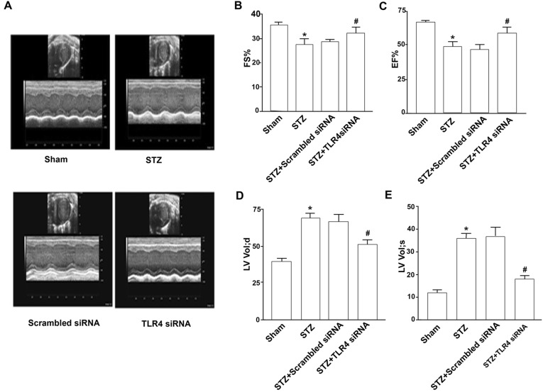 Fig. 4