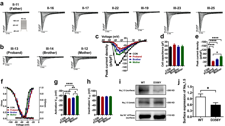 Fig. 3