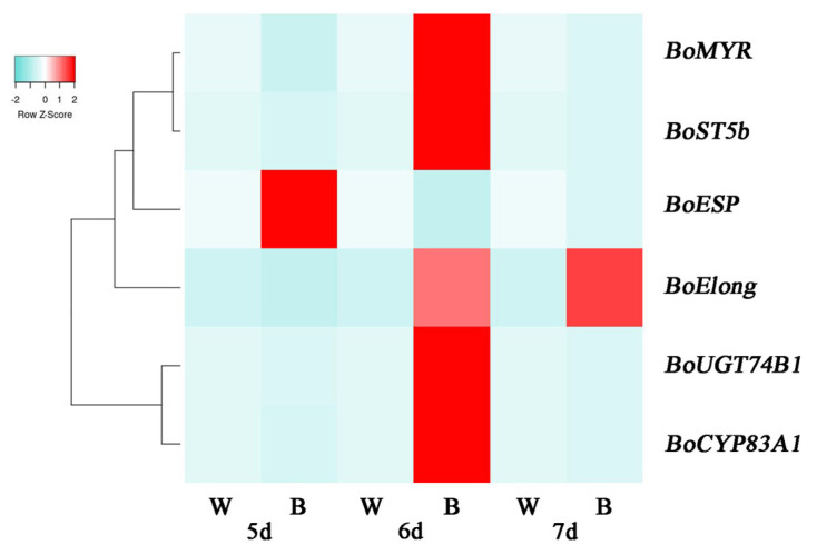 Figure 5