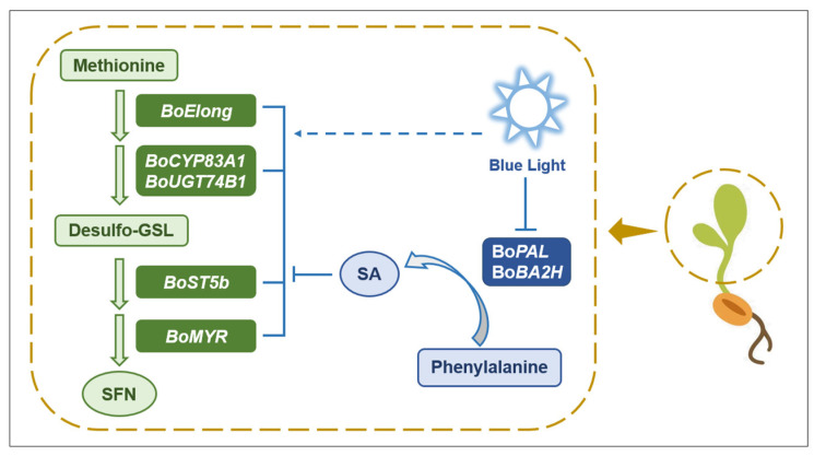 Figure 10