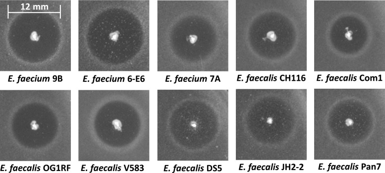 FIG 4