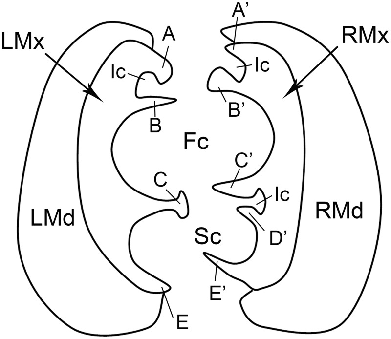 Fig 12