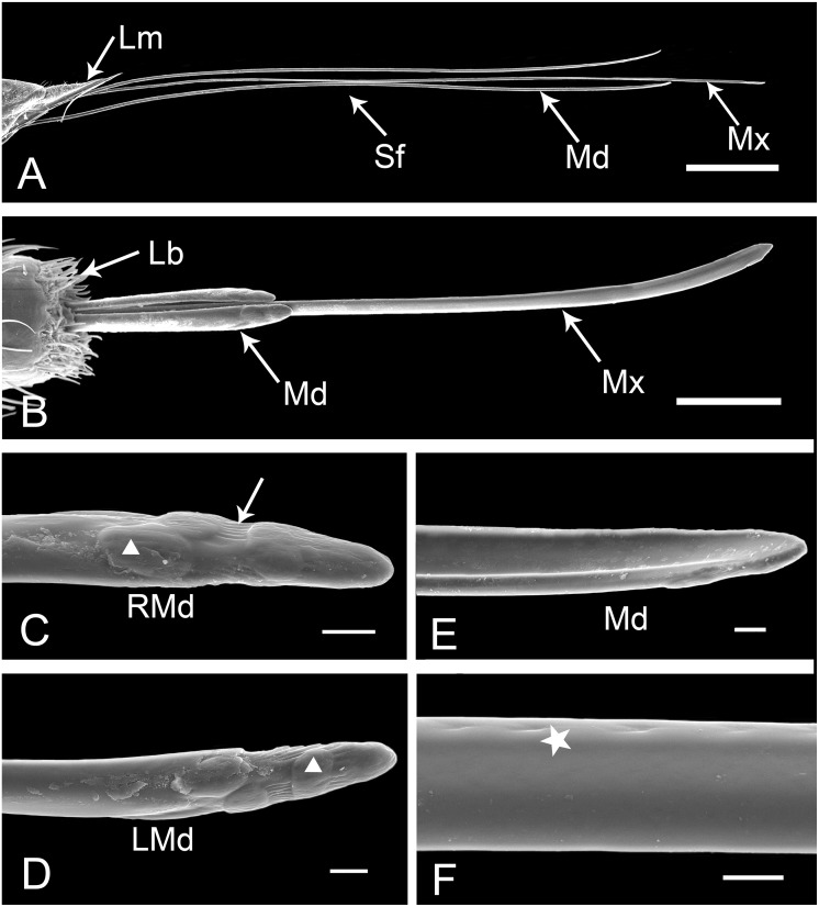 Fig 10