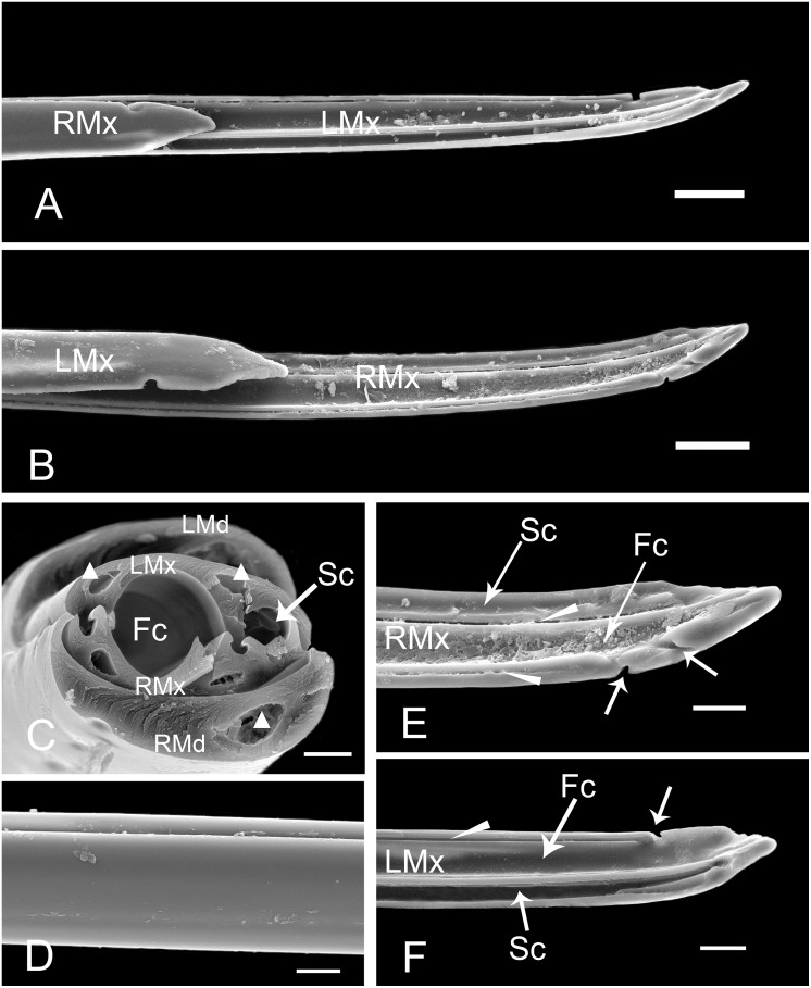 Fig 11