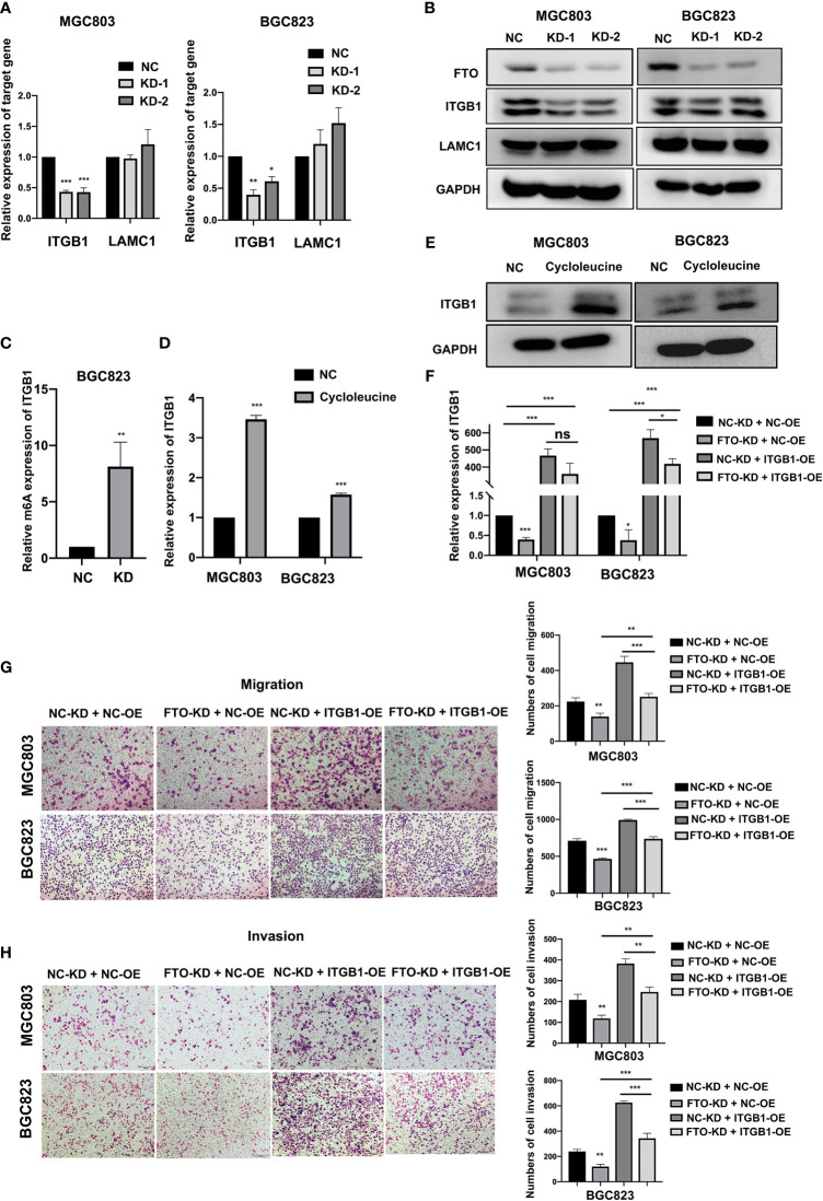 Figure 6