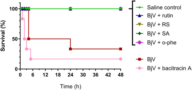 FIGURE 13