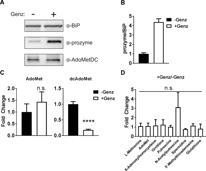 Fig 4