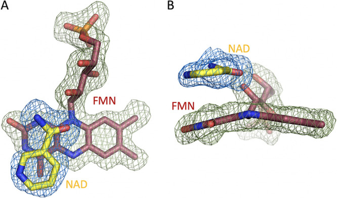 FIG 6