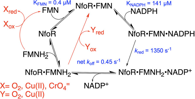 FIG 10