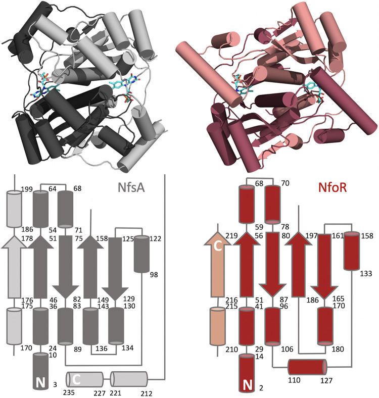 FIG 4