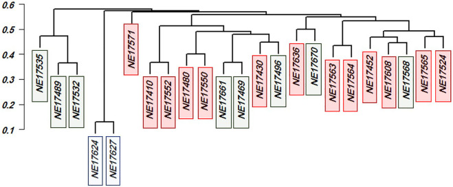 FIGURE 7