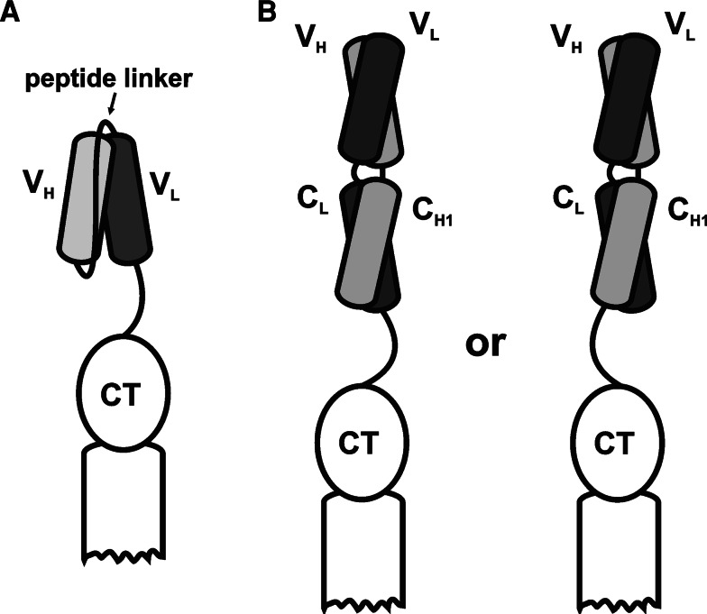 Fig. 6