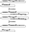 Fig. 7
