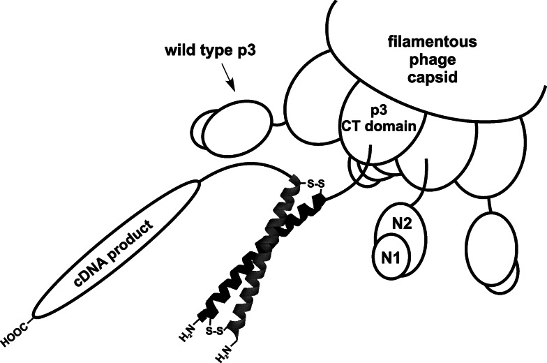 Fig. 4