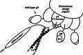 Fig. 4