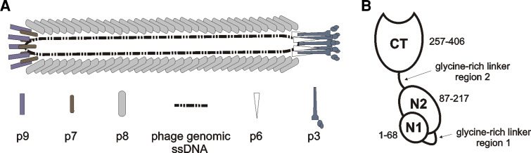 Fig. 2