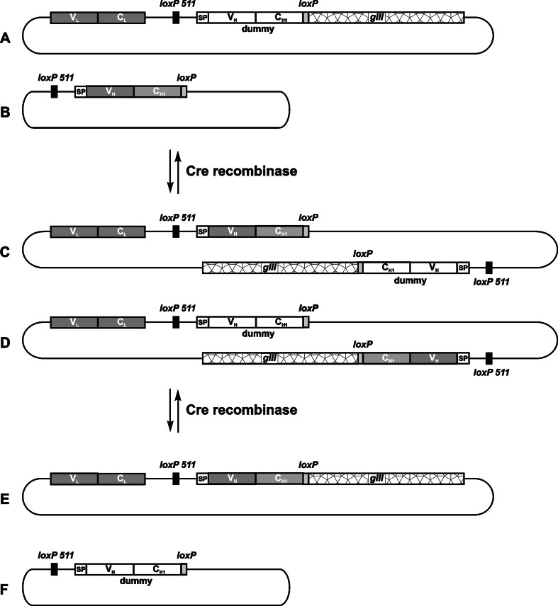 Fig. 7