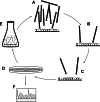 Fig. 1