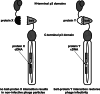 Fig. 5