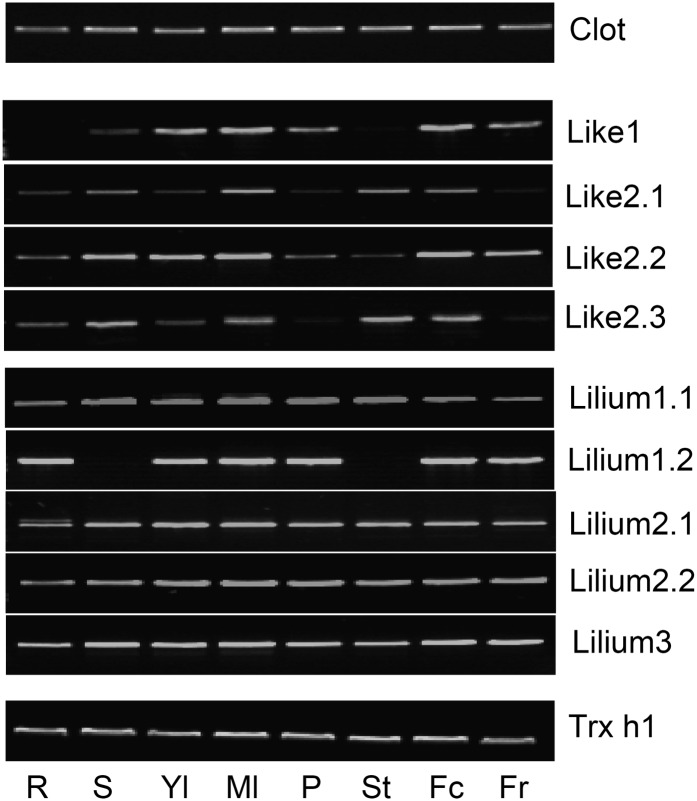 Figure 2.