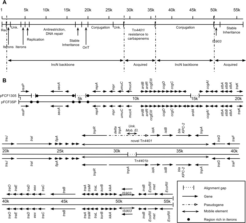 FIG 1