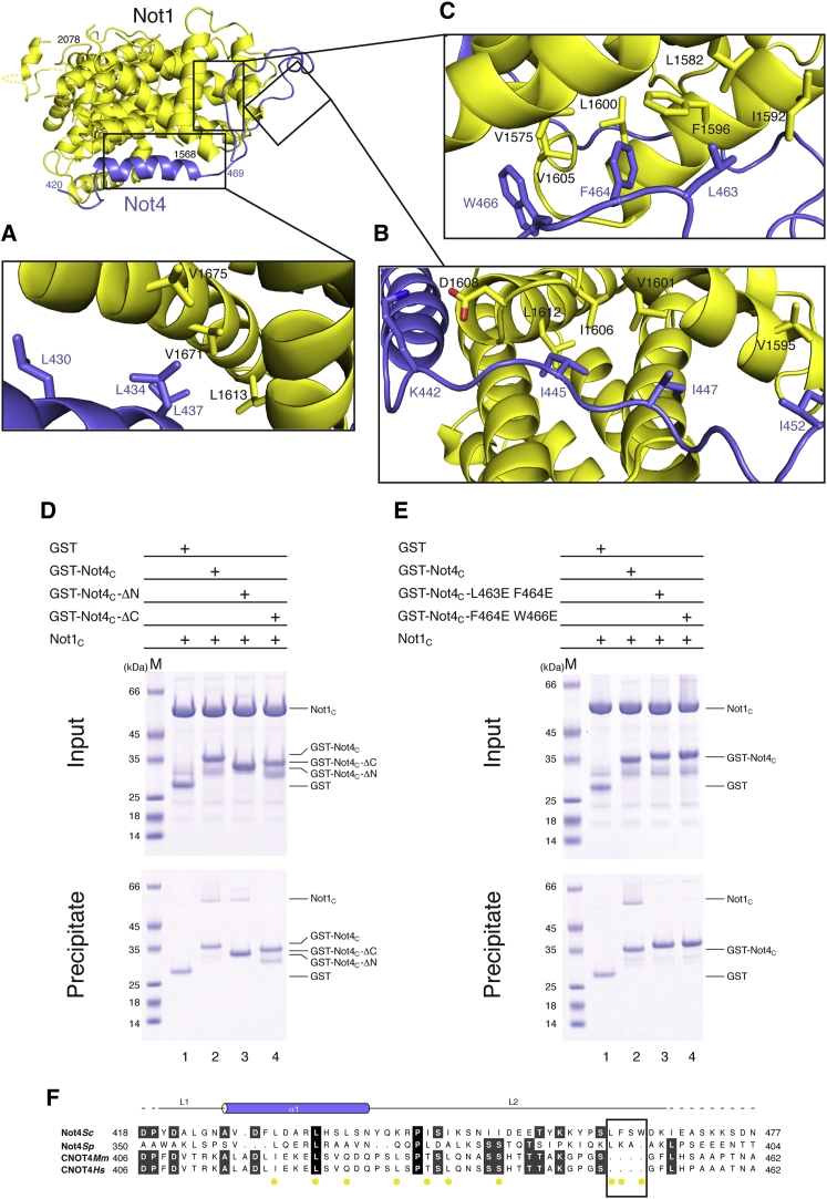 Figure 3