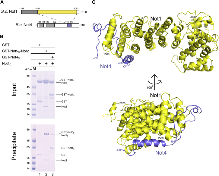 Figure 2