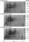 FIG. 2.