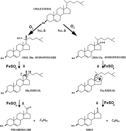 Fig. 9.