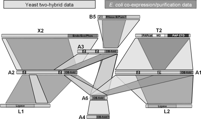 FIGURE 10.