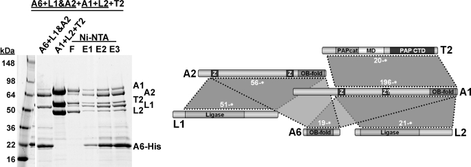 FIGURE 9.