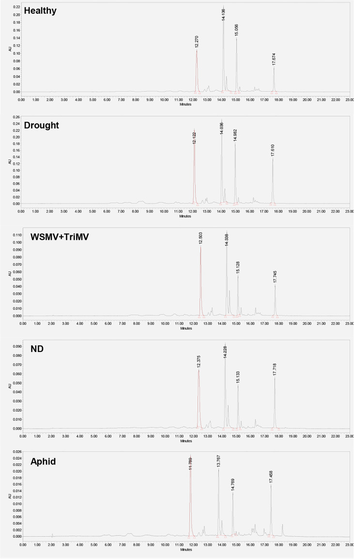 Figure 3